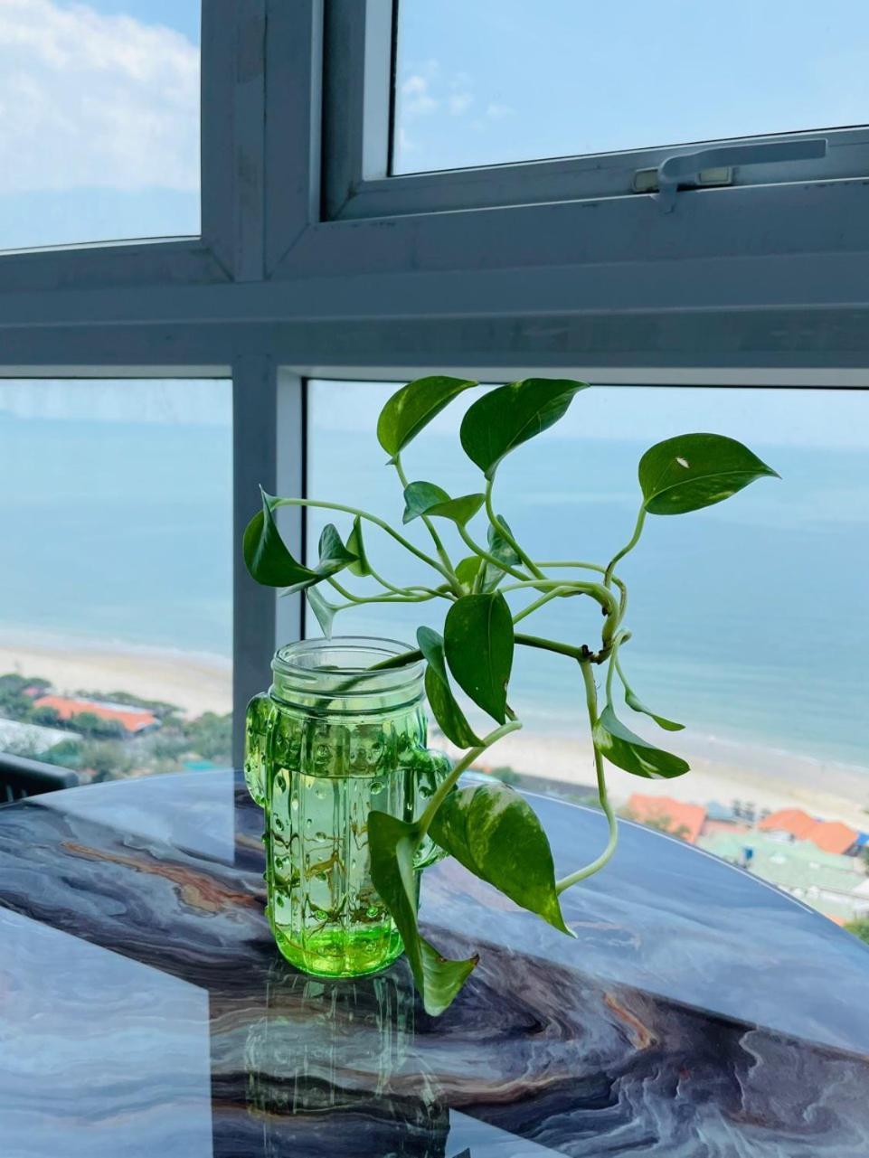 Can Ho Oasky Canh Bien Bai Sau Vũng Tàu Exterior foto